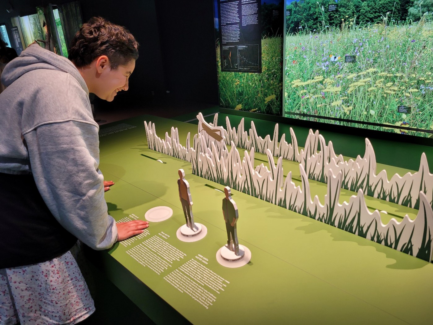 Workshop Wilde Wohnzimmer: jugendliche Teilnehmerin an einer interaktiven Erklärtafel zum Thema Wiese und Insekten 