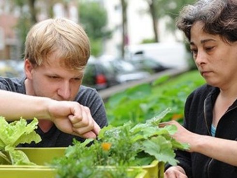 Mann und Frau beim Bepflanzen eines Hochbeetes